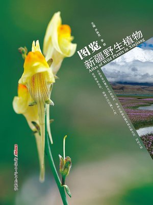 cover image of 图览新疆野生植物
